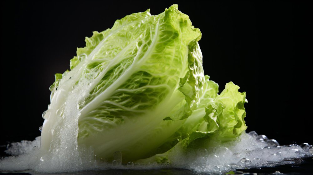 Iceberg Lettuce