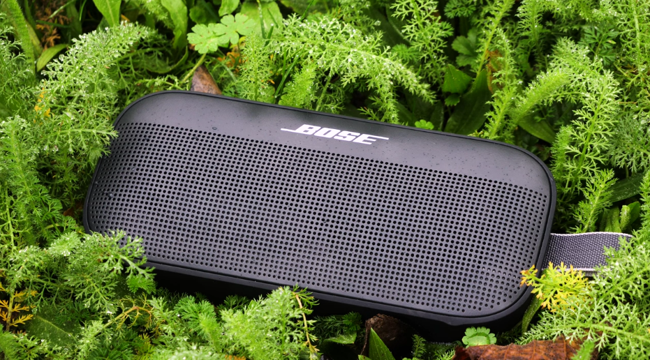 Bose Soundlink Flex